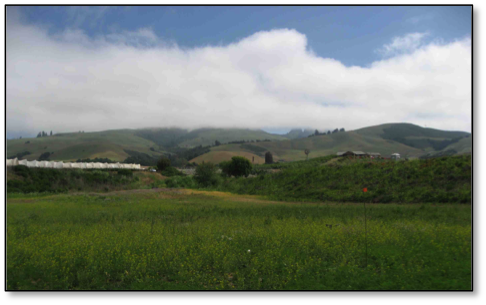 Picture of grasslands